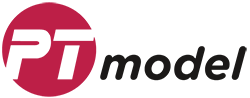PT model